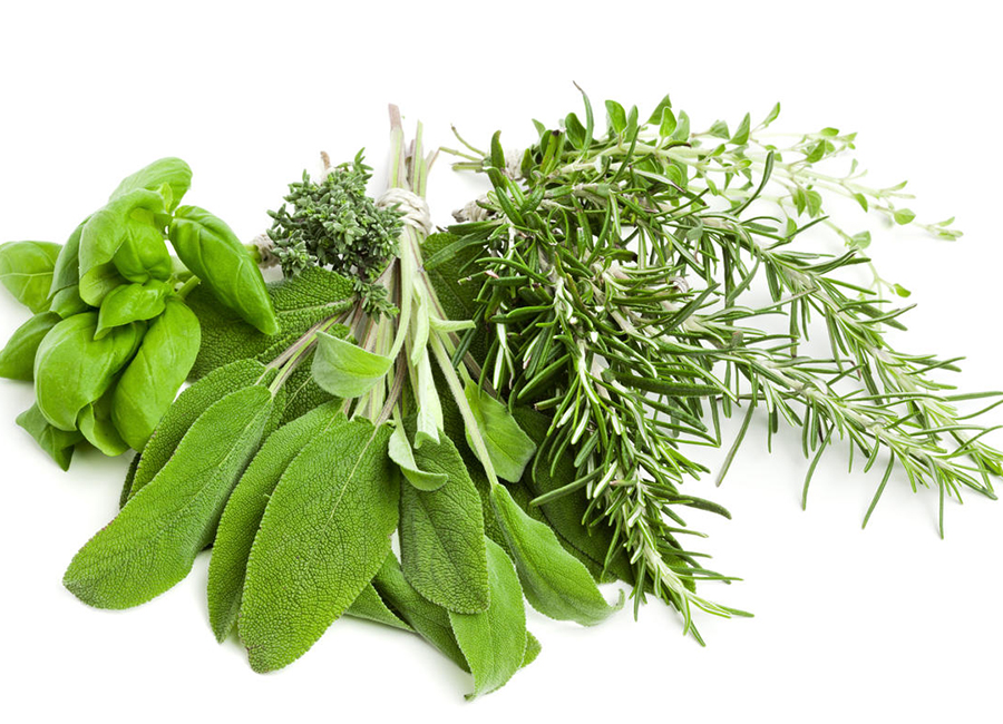 fresh herbs 900 x 650 herbs