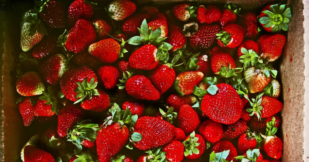 Strawberries and Cream Breakfast Smoothie