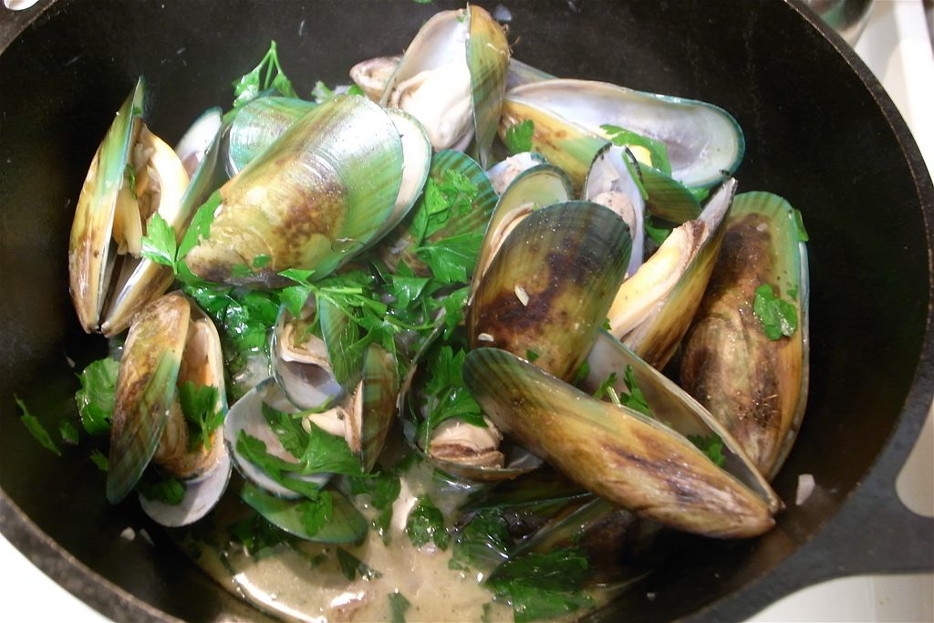 green lipped mussels