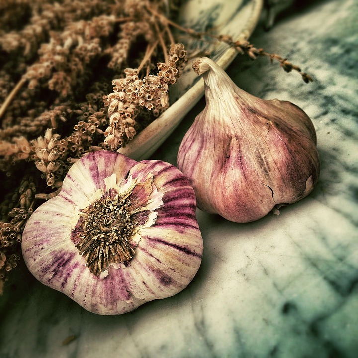 food and your immune system